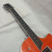 Taylor - Semi Hollow Electric Guitar - Second Hand