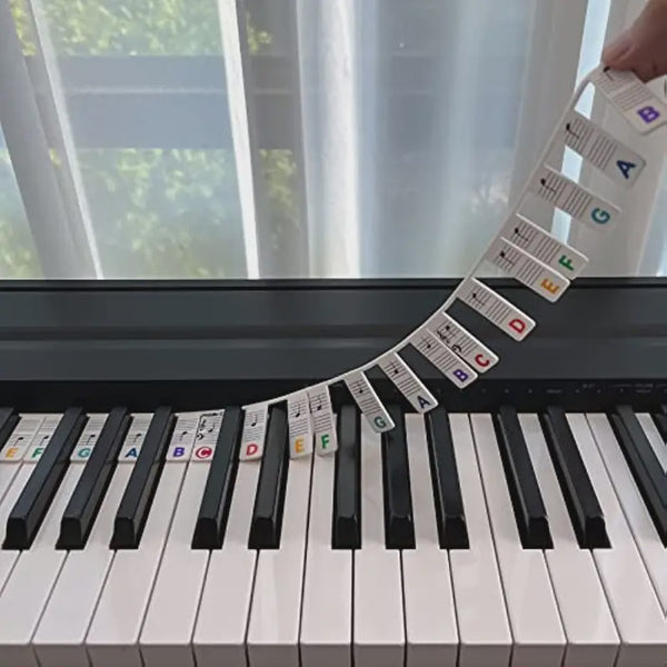 Silicone Piano/Keyboard Note Labels - 88 Key Size