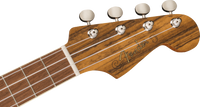 Fender - Rincon Tenor Ukulele - Aged Cognac Burst
