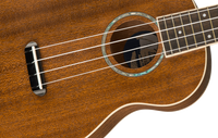 Fender - Zuma Concert Ukulele - Natural