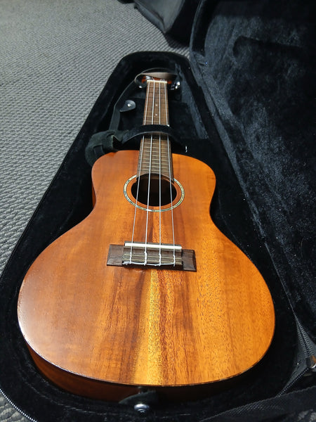 Kala  KA-GAC Concert Ukulele & Case - Second Hand