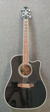 Takamine EF 341SC (Bruce Springsteens Model Guitar  Second hand)