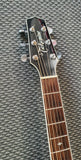 Takamine EF 341SC (Bruce Springsteens Model Guitar  Second hand)
