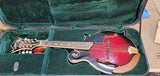 Washburn M3SWETWRK Americana Series Florentine F-Style 8-String Acoustic-Electric Mandolin w/Hard Case (second Hand)