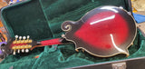 Washburn M3SWETWRK Americana Series Florentine F-Style 8-String Acoustic-Electric Mandolin w/Hard Case (second Hand)