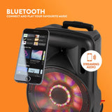 Portable PA Speaker 12" with Bluetooth