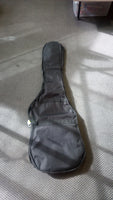 Electric Guitar Bag - Second Hand