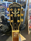 Washburn - Hollow Body/Semi Hollow Body Electric Guitar (Second Hand)