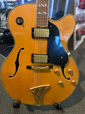 Washburn - Hollow Body/Semi Hollow Body Electric Guitar (Second Hand)