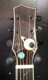 Aiersi Galaxy - Artist Cutaway Acoustic Guitar - Blue Sparkle