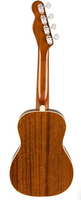 Fender - Zuma Concert Ukulele - Burgundy Mist