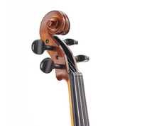Stentor - Student Violin II Outfit - 4/4 Size