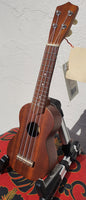 Aiersi - Pocket Ukulele