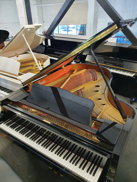 Yamaha - Grand Piano - C5