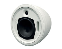 Martin Compact Two Way 5.25" Pendant Loudspeaker WHITE