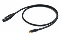 Challenge RCA Lead FXLR > MRCA 3m