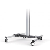 Proel Professional set of 4 wheels (2 with brakes)
