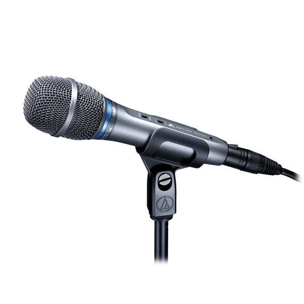 AE3300 Live Vocal Mic Condenser Cardioid