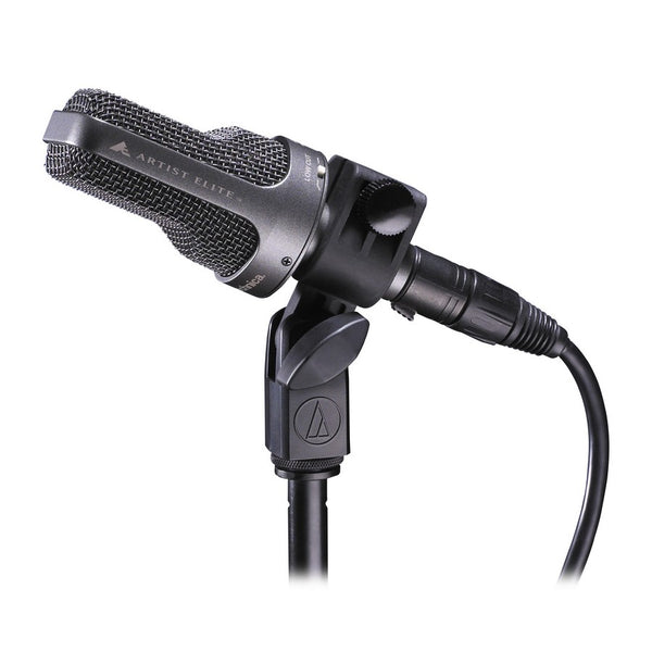 AE3000 Instrument Mic Condenser Cardioid